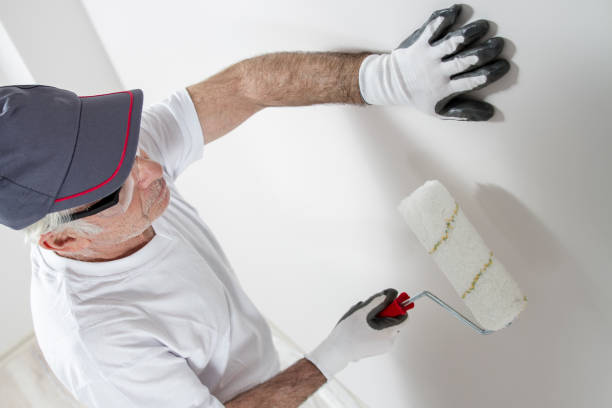 Seneca, SC Mold Removal Company