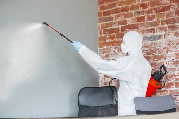 Best Asbestos and Lead Testing During Mold Inspection  in Seneca, SC