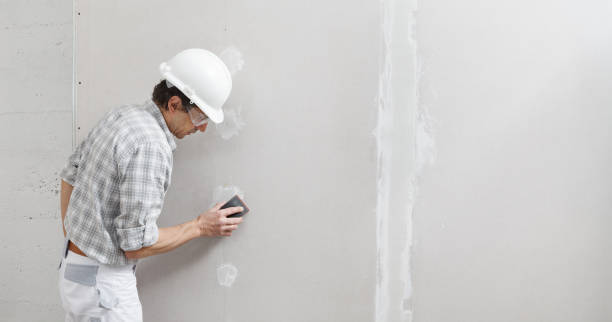Best Mold Damage Restoration  in Seneca, SC