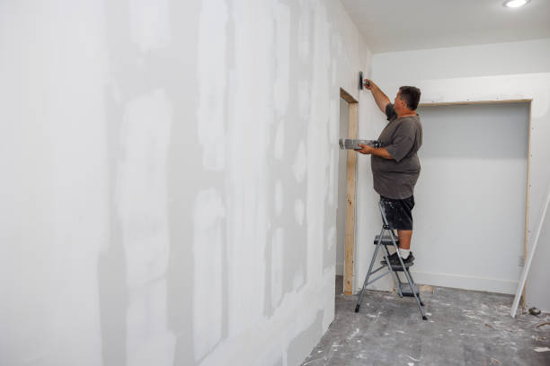 Best Real Estate Mold Inspection  in Seneca, SC