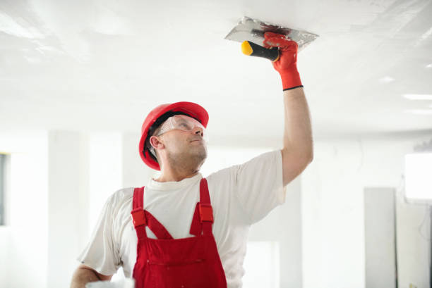 Best Industrial Mold Remediation  in Seneca, SC