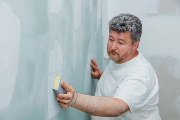 Best Industrial Mold Remediation  in Seneca, SC