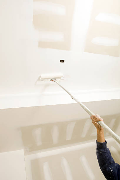 Best Post-Construction Mold Inspection  in Seneca, SC