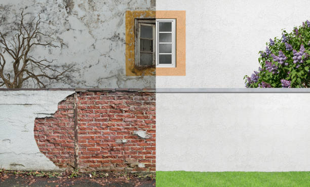 Best Mold Documentation for Insurance Claims  in Seneca, SC